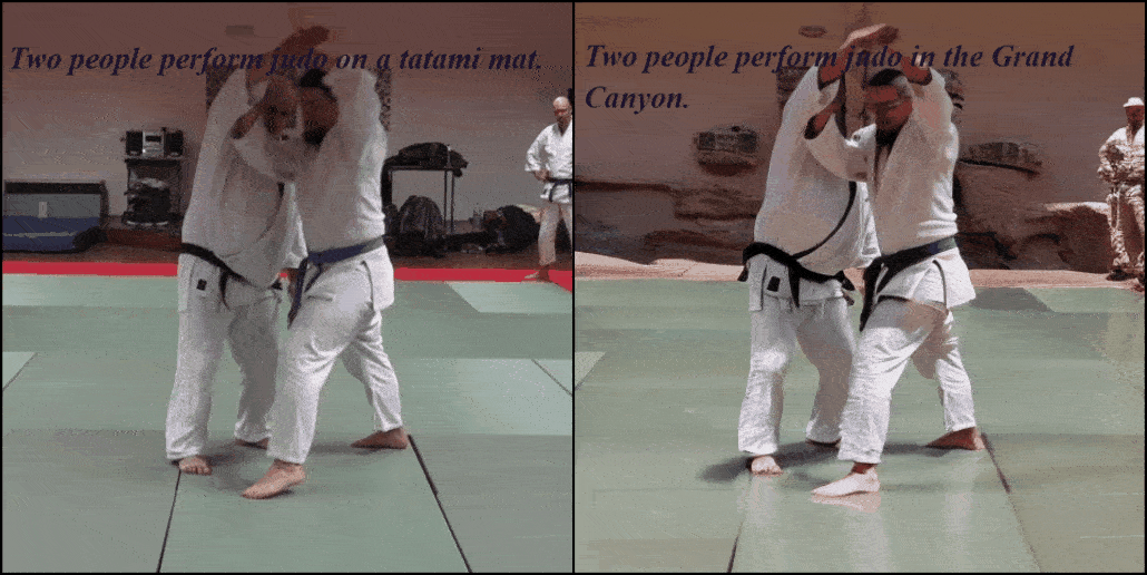 Judo match