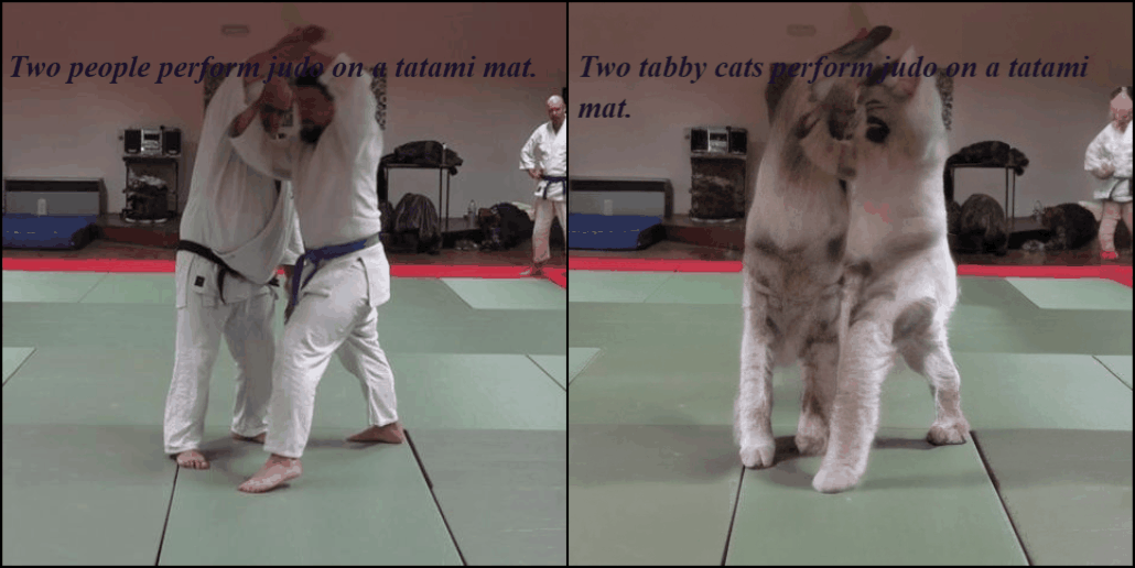 Judo match variation 1